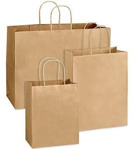 ﻿﻿﻿Shoe Paper Bag 1